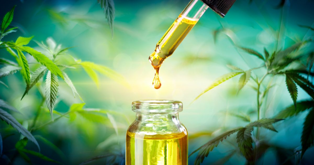 Frasco de aceite de CBD con un gotero, rodeado de plantas de cannabis sativa, destacando el uso del aceite de CBD para tratar el dolor en las articulaciones y el dolor crónico.