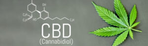 Fórmula química del cannabidiol (CBD) junto a una hoja de cannabis sativa, destacando la importancia de entender qué es el CBD y sus beneficios para tratar el dolor en las articulaciones y el dolor crónico.