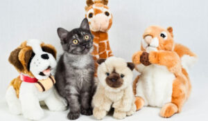 Gato real entre peluches simulando diversas especies animales, destacado en Noticias Animales, ideal para discutir sobre cuidados y productos para mascotas.