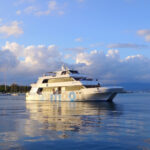 Ferry navegando hacia Mallorca, una opción ideal para viajar a Mallorca en ferry con flexibilidad y sostenibilidad.