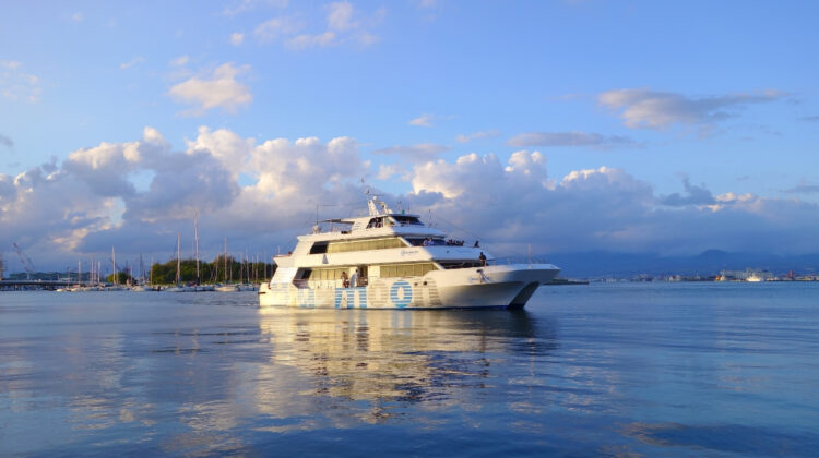 Ferry navegando hacia Mallorca, una opción ideal para viajar a Mallorca en ferry con flexibilidad y sostenibilidad.